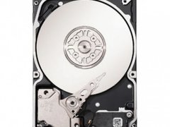 Hard disk Segate Model: ST32000444SS